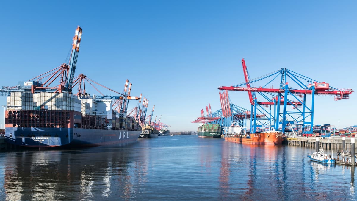 Container ships moored beneath gantry cranes in a port on a clear day